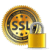 Connessione SSL sicura